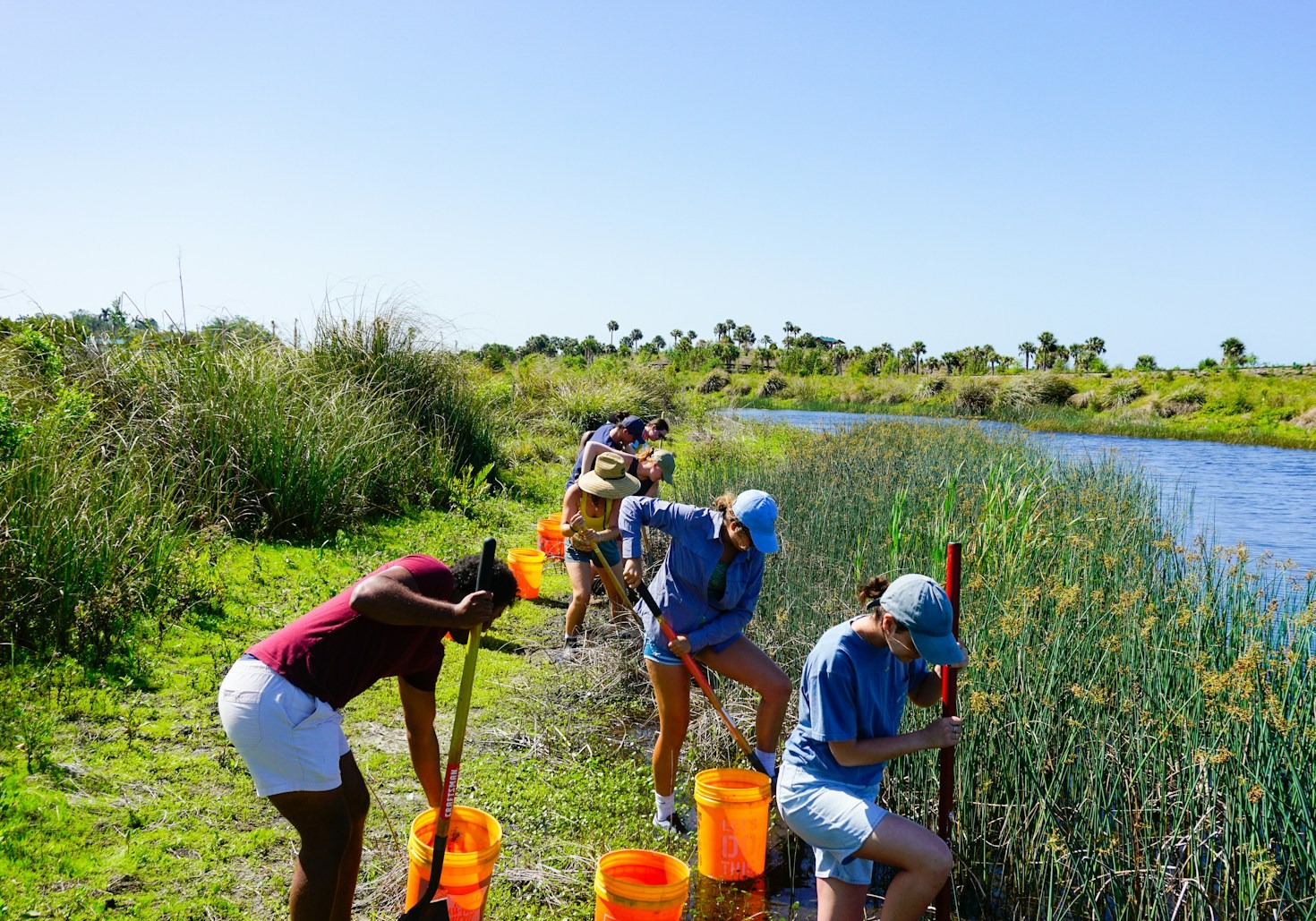 Why Local Conservation Efforts Matter More Now